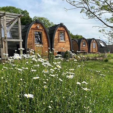 Отель Hedgehog Glamping Pod School House Farm Leighton  Экстерьер фото